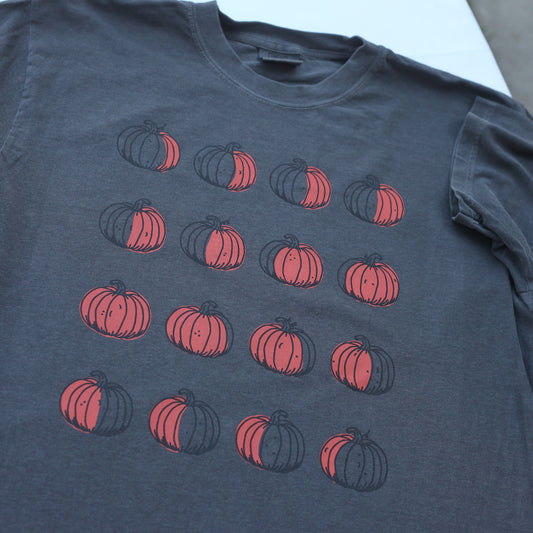 Pumpkin Moon Phases (Pepper)