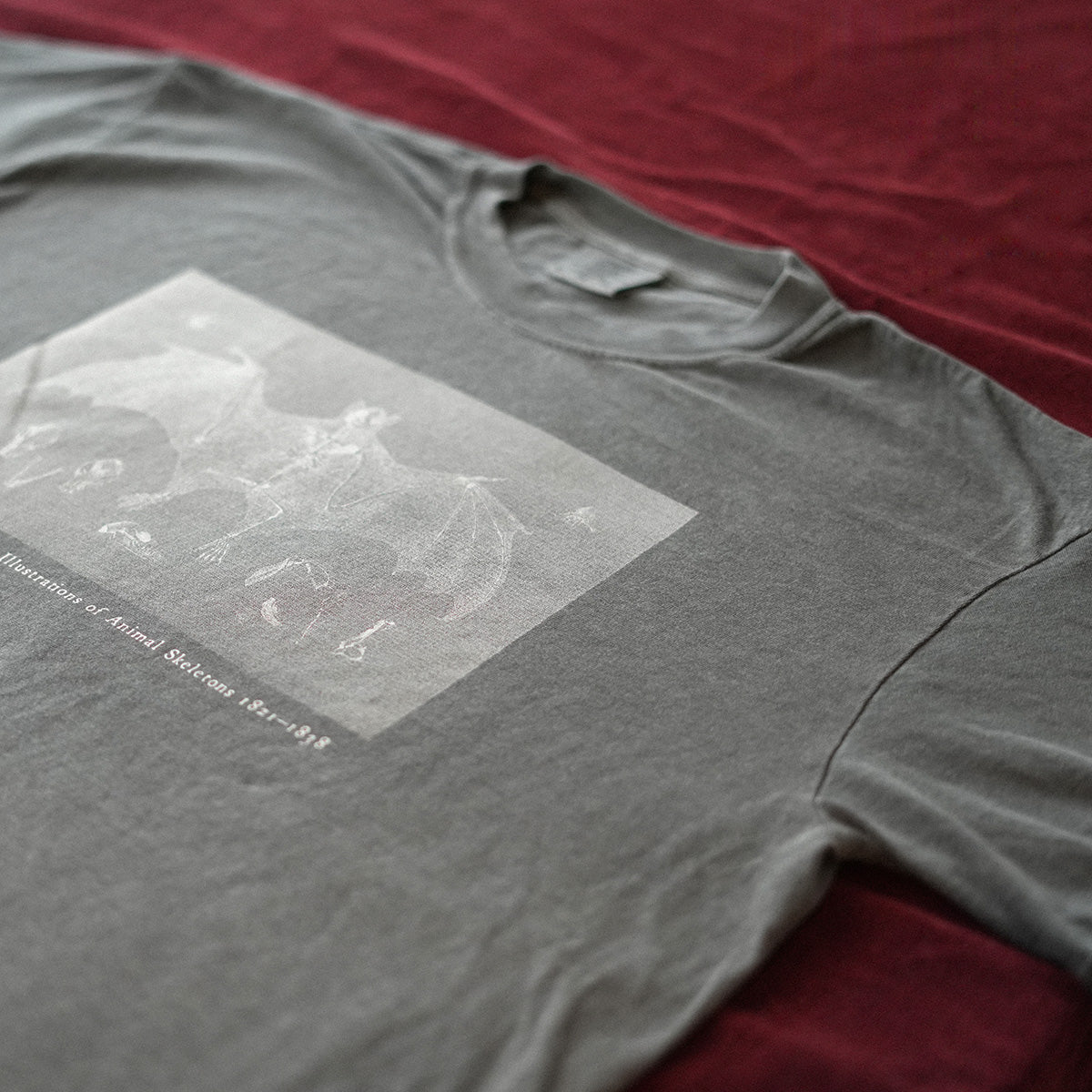 Bat Tee (Pepper)