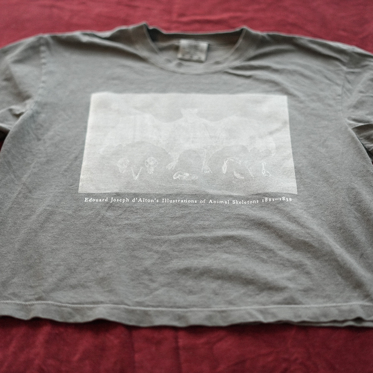 Bat Tee Cropped (Pepper)