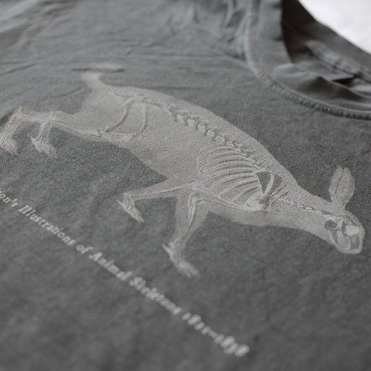 Rabbit Tee Cropped (Pepper)